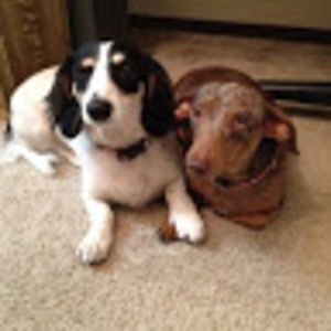 Meet your Posher, Vinnielena